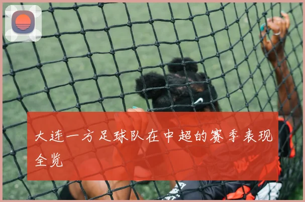 大连一方足球队在中超的赛季表现全览