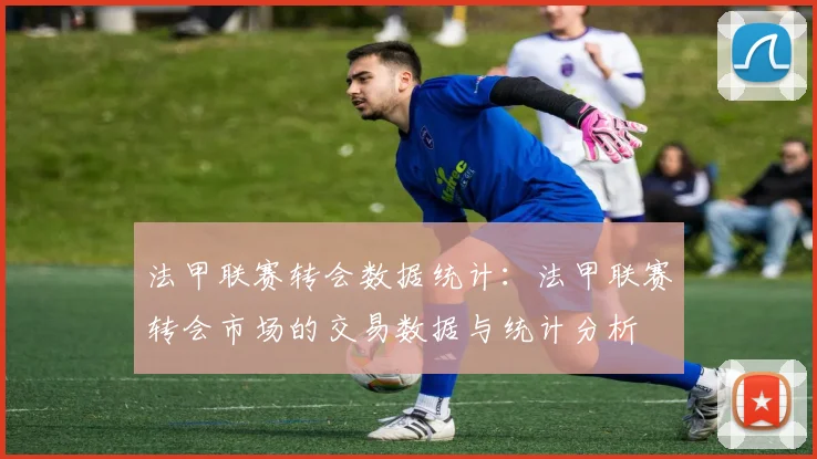 法甲联赛转会数据统计：法甲联赛转会市场的交易数据与统计分析