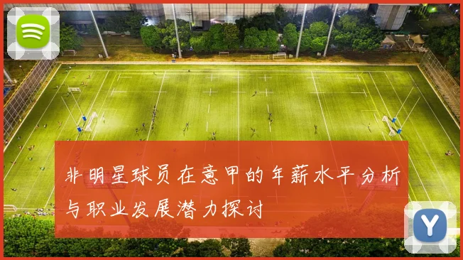 非明星球员在意甲的年薪水平分析与职业发展潜力探讨