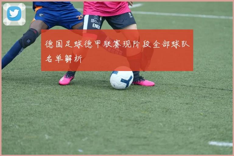德国足球德甲联赛现阶段全部球队名单解析