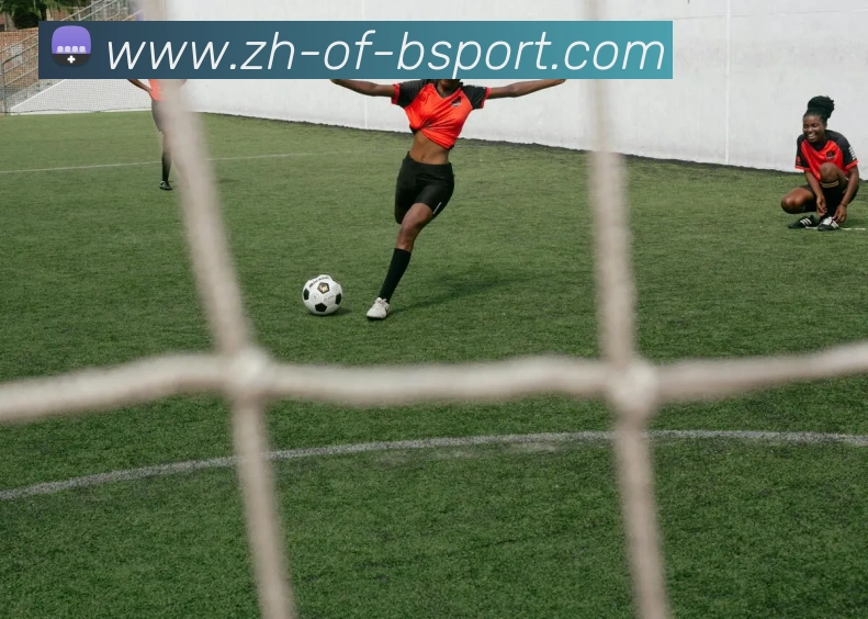 必一体育发展历程